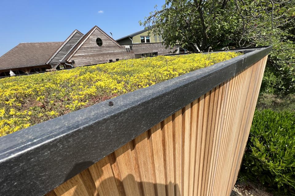 Groendak als bloemenweide in de zomer.