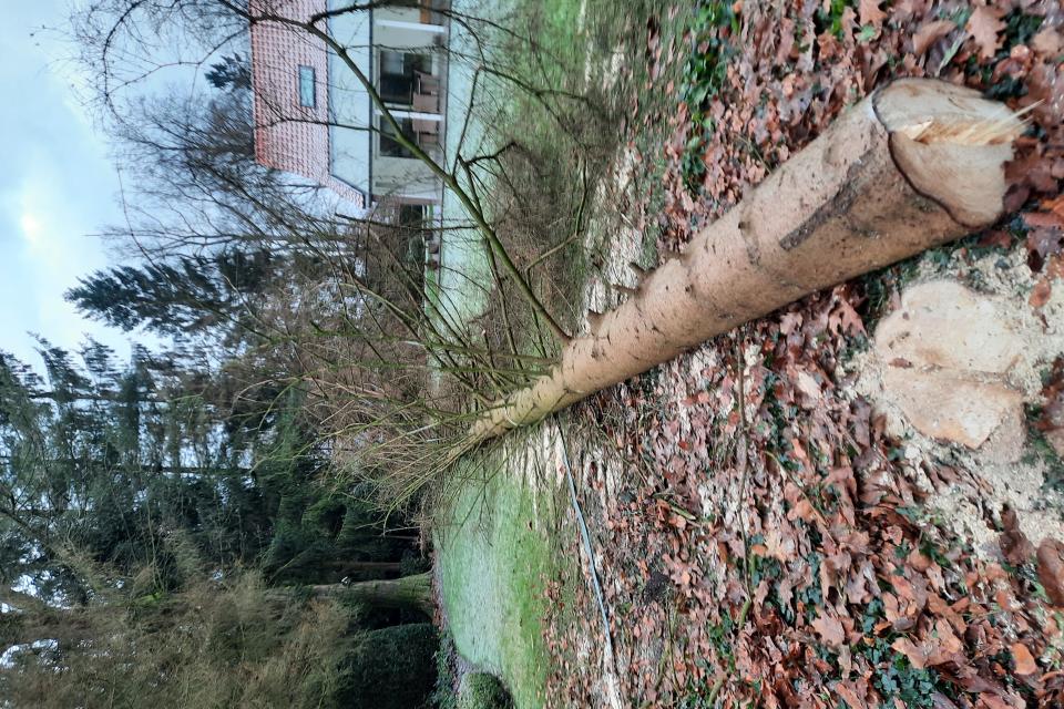 Robin De Jong BV