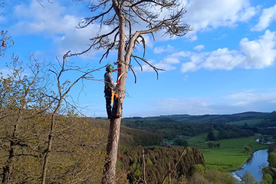 Realisatie_RopeTree1.jpg