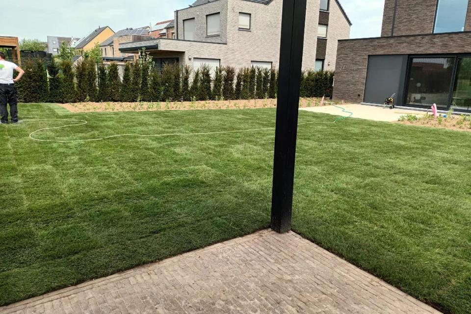 aanleg grasmatten 