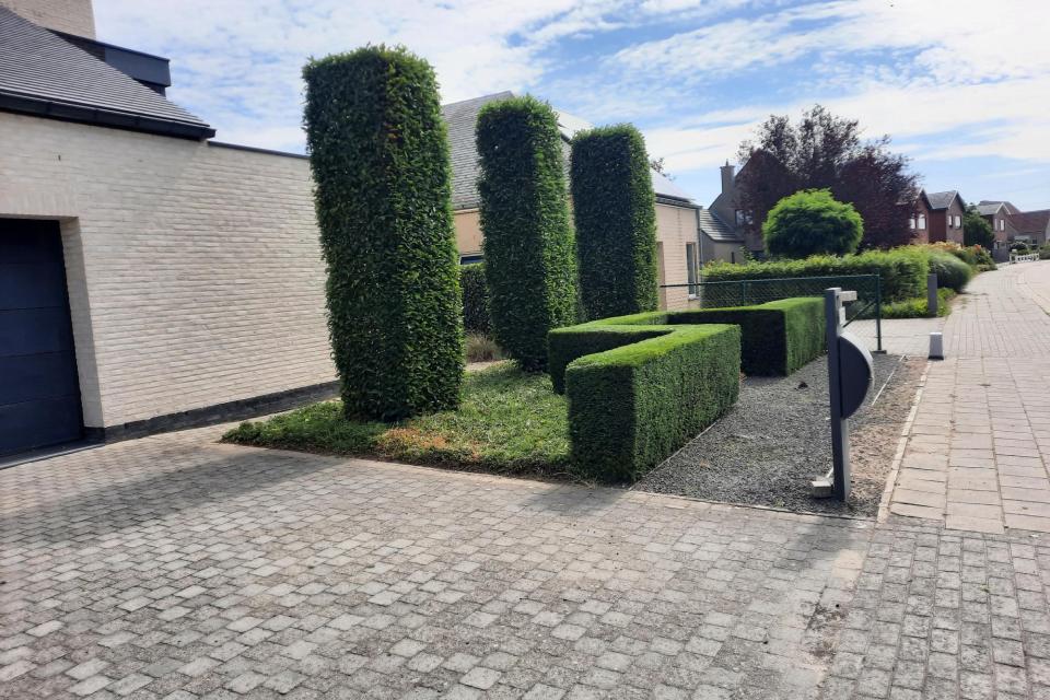 Snoeiwerken