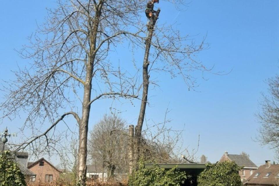 boomwerken