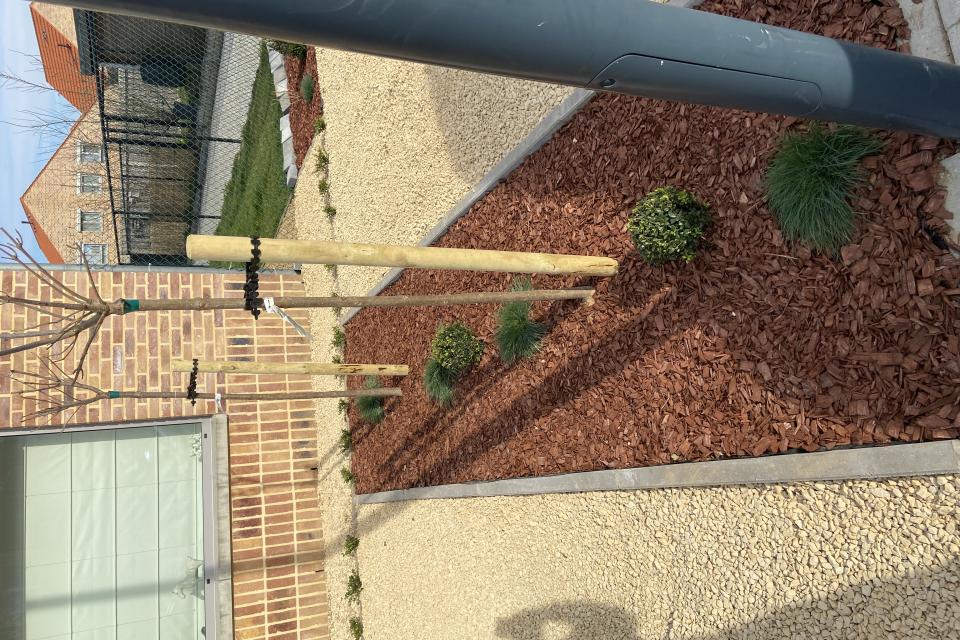 Project Voortuin 2022
