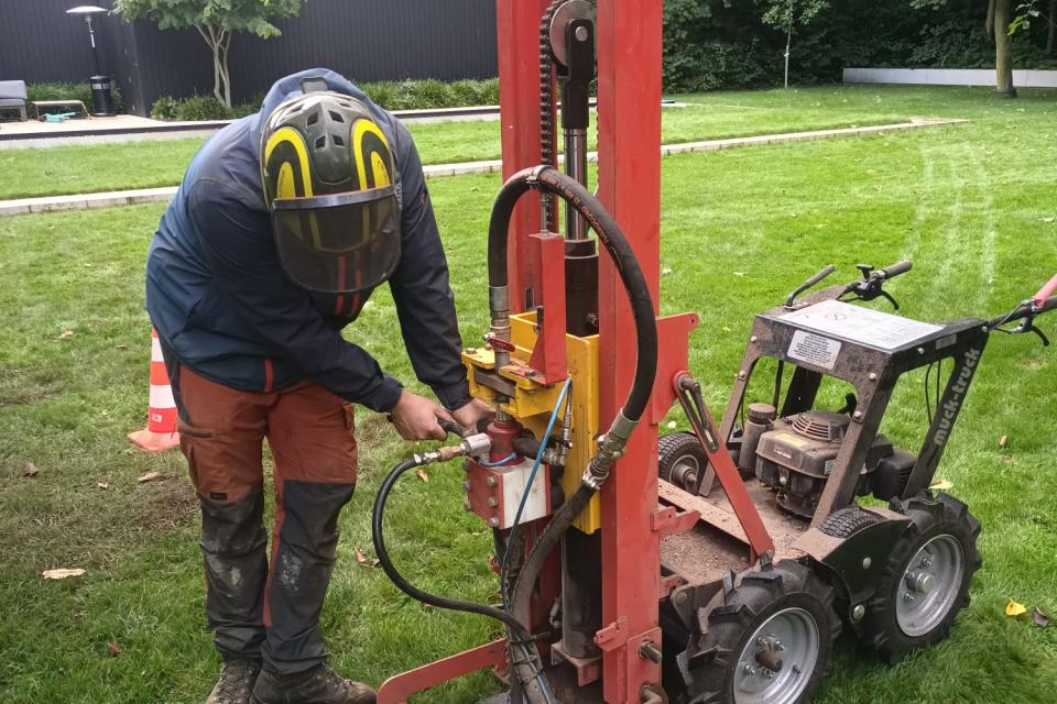 Sterk Boomwerk