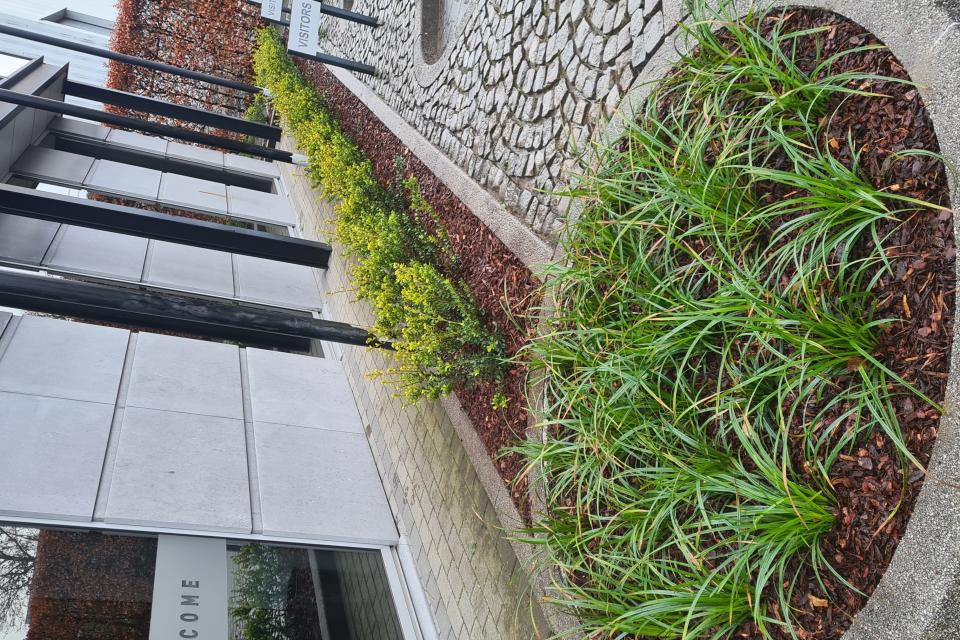 Onderhoud bedrijf en aanleg beplanting