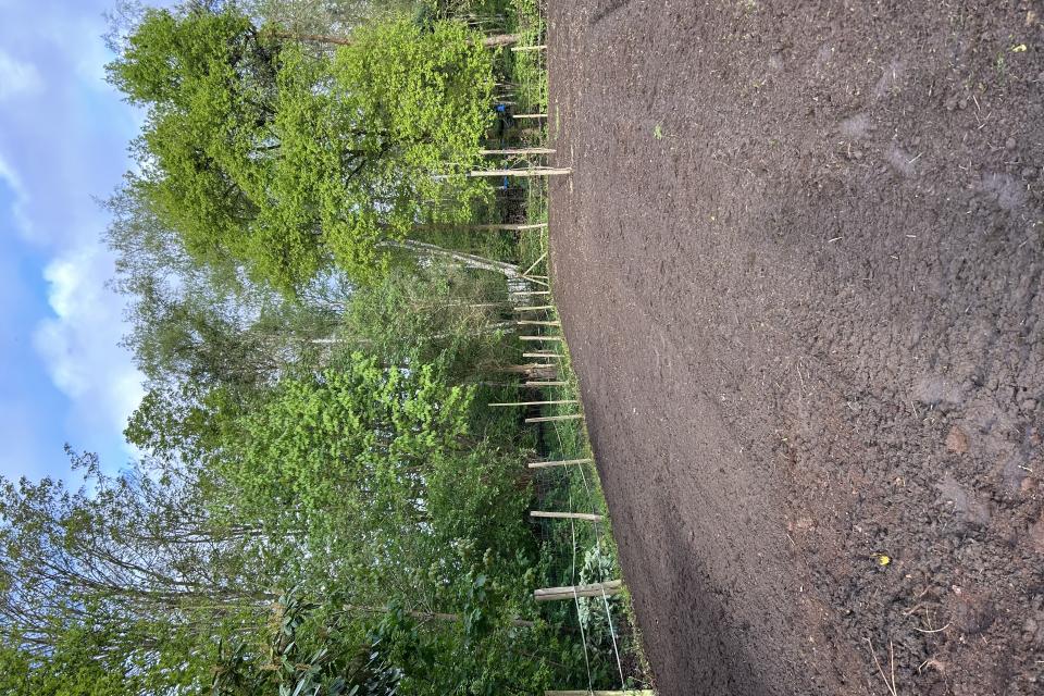 Tibollo Tuinonderneming 