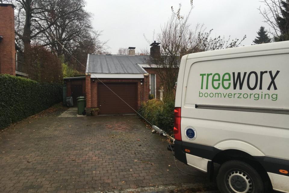 trekproef (stabiliteit van bomen onderzoeken)