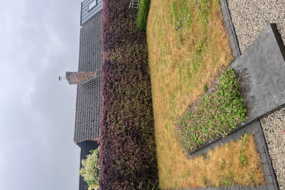 Tuin & Boomwerken GS