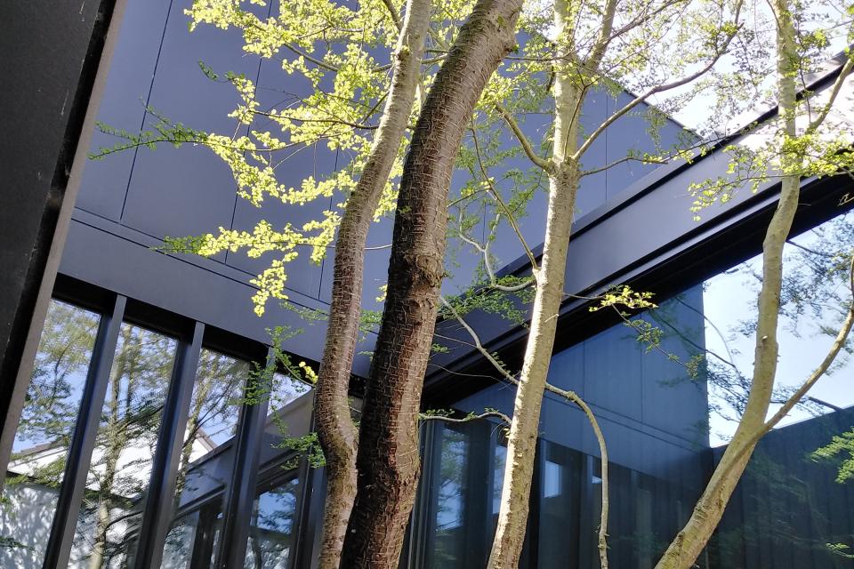 Tuindesign Pottier