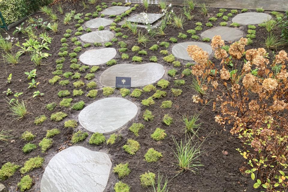 prairie tuin met stapstenen