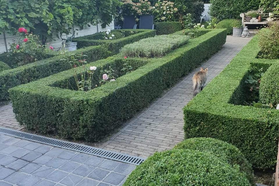 Tuinonderhoud-aanleg Hans Geerts