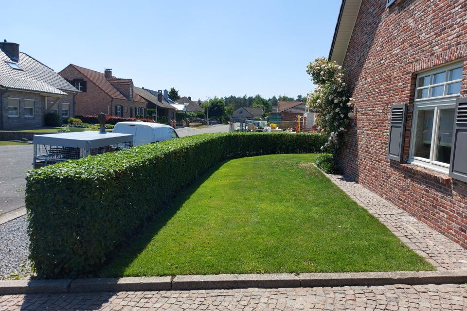 Tuinonderhoud MV