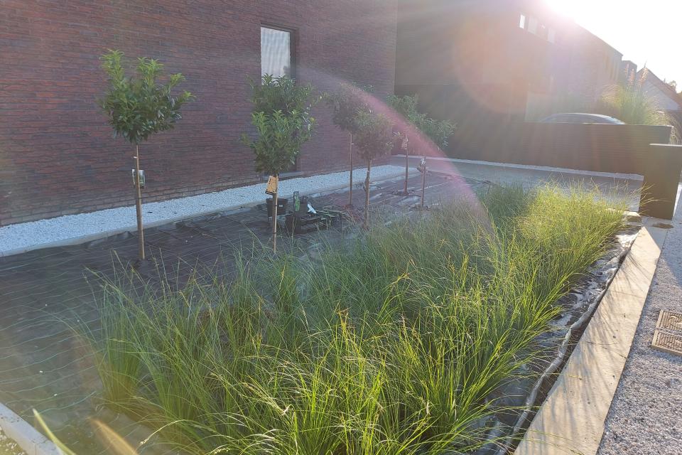 Tuinonderhoud MV