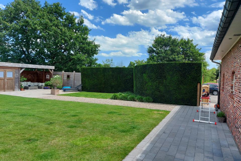 Tuinonderhoud MV