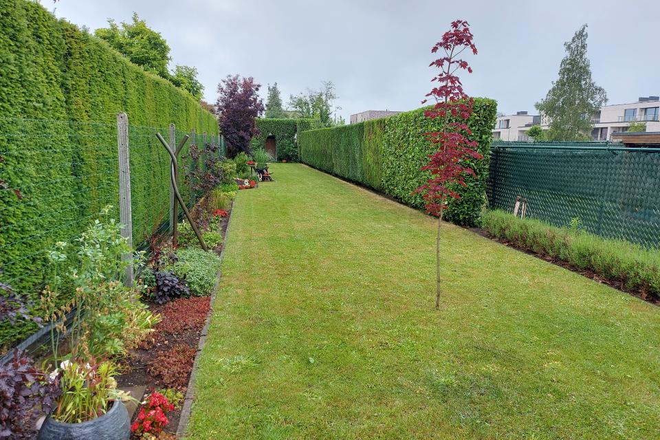 Tuinonderhoud MV