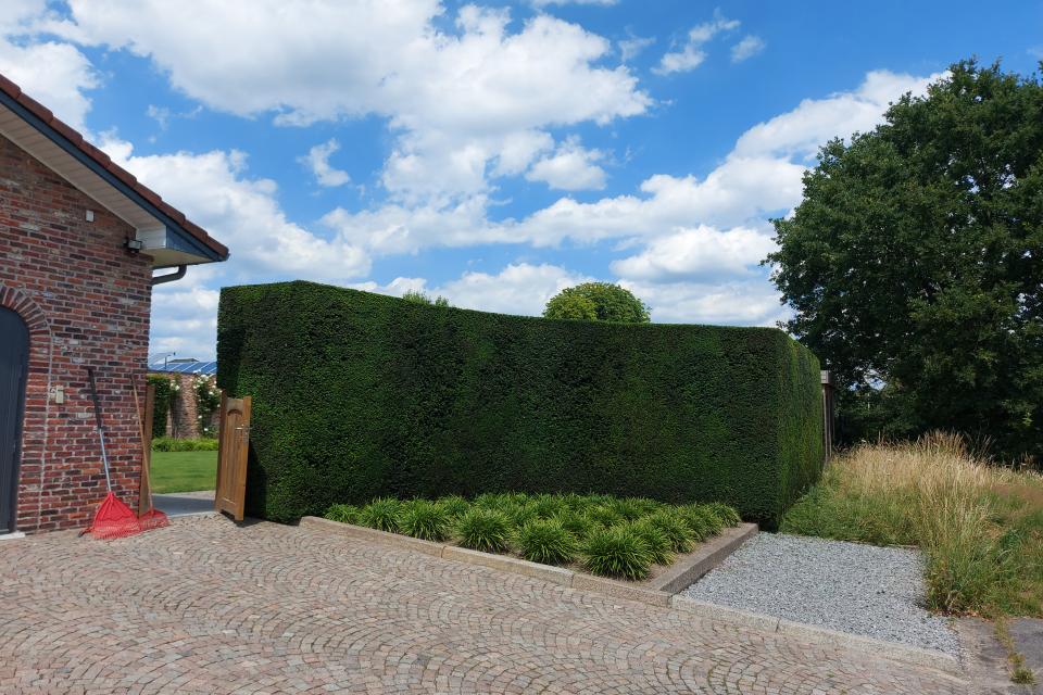 Tuinonderhoud MV