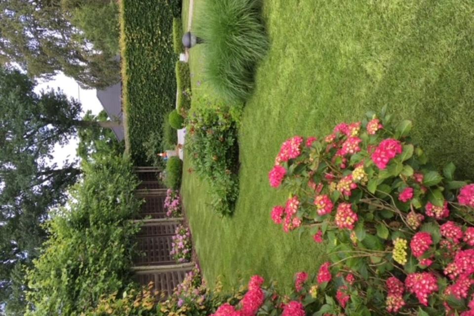 Aanplanting en onderhoud tuin