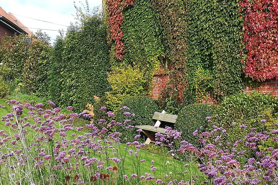 Muurbeplanting