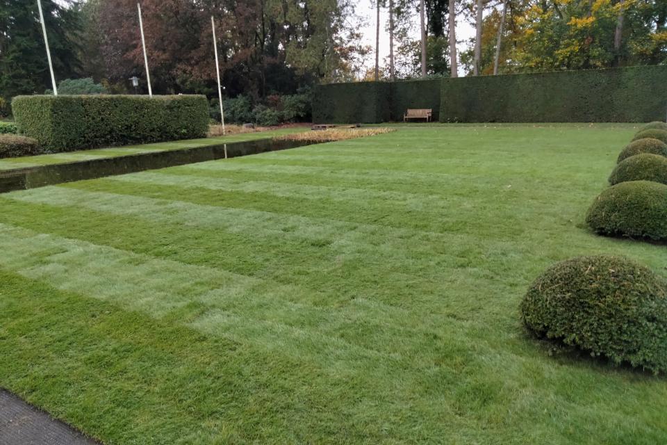 Aanleg van je nieuwe gazon!