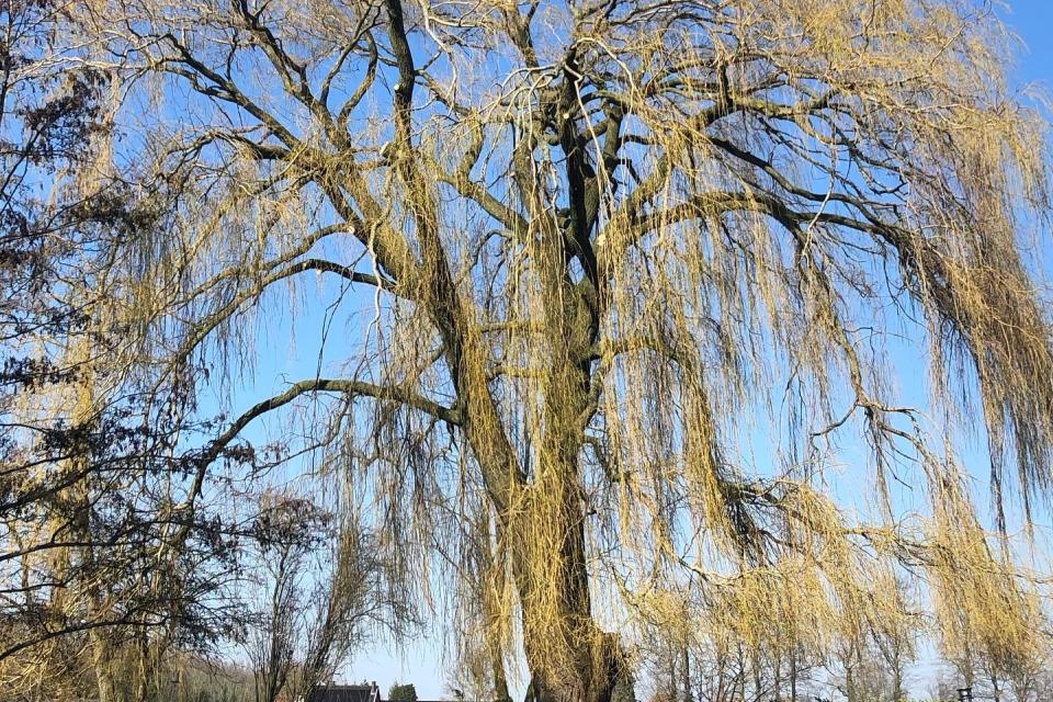 Van Haverbeke Tuinrealisaties