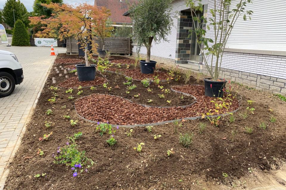 Aanplantingen particulieren