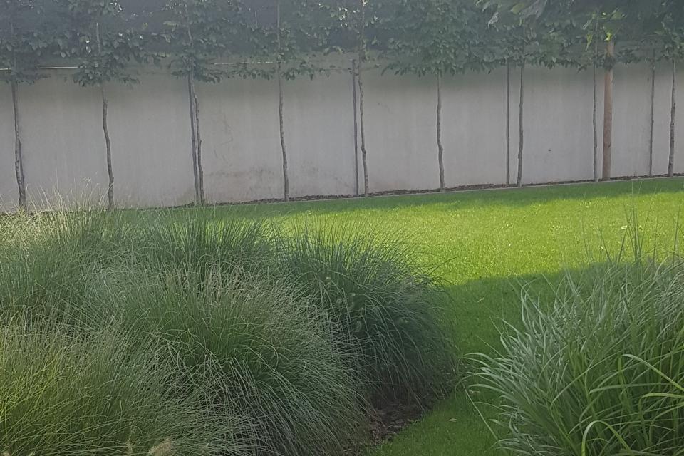Veldeman Geert Tuinwerken
