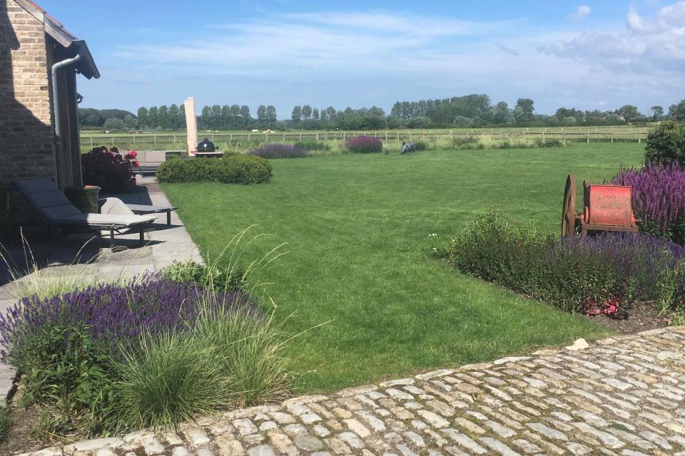 Verhaege Tuinaanleg & Onderhoud