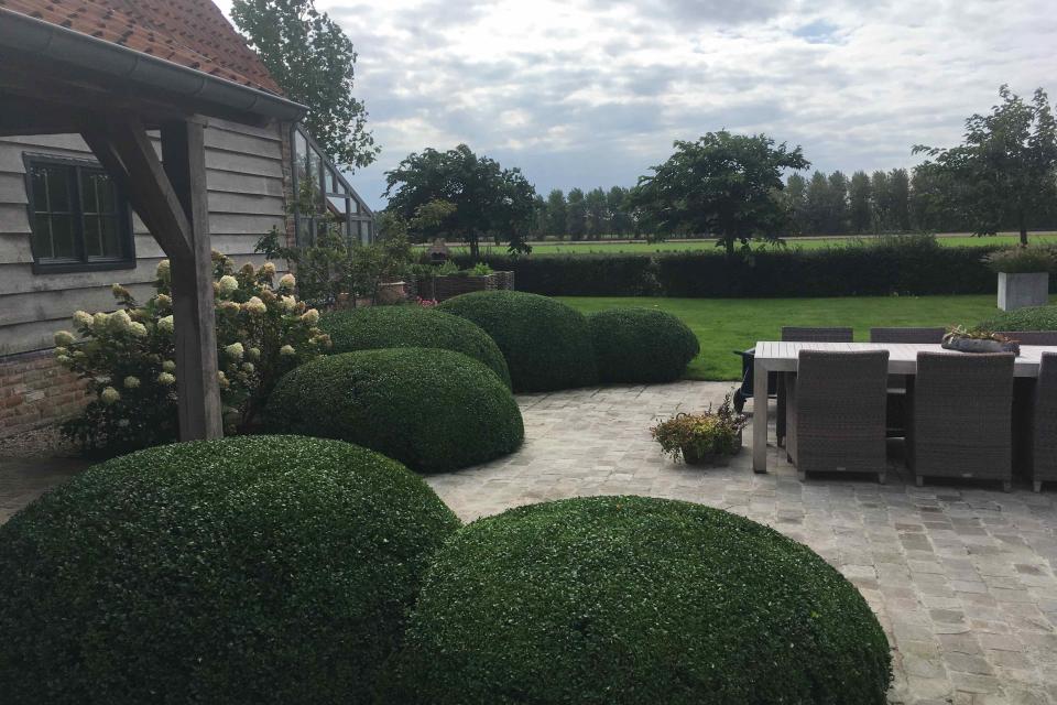 Verhaege Tuinaanleg & Onderhoud