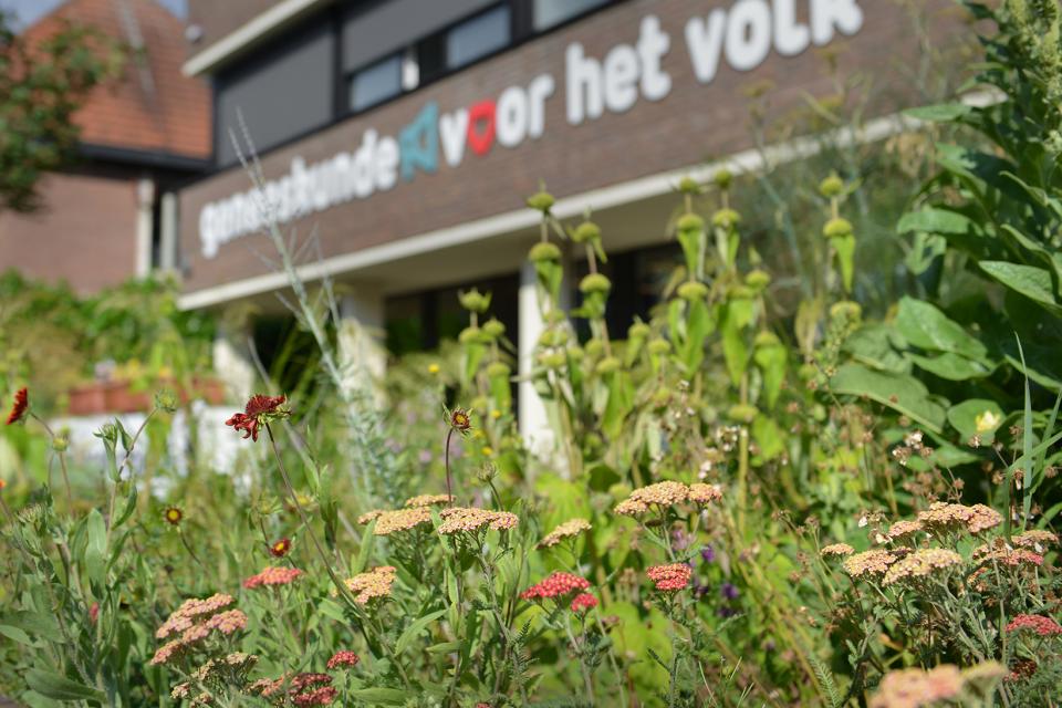 Wild tuinontwerp