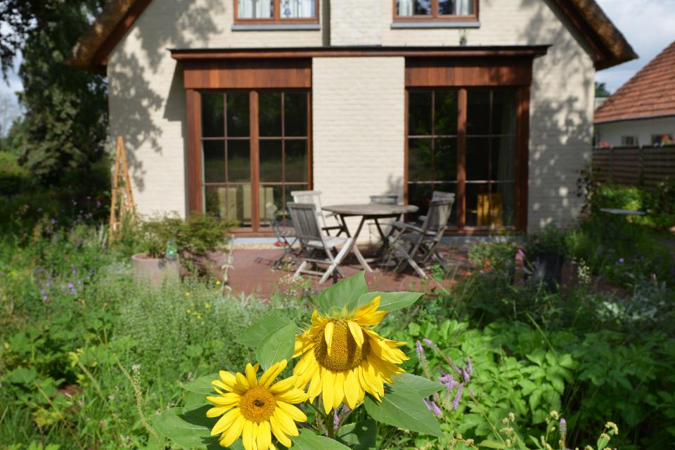 Wild tuinontwerp