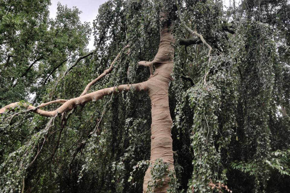 Bescherming tegen zonnenbrand