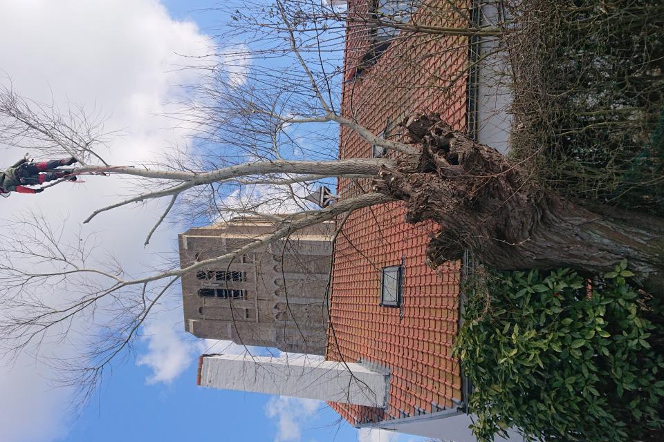 Moeilijke snoeiwerken