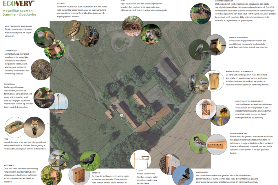 Partnership met ´Ecovery´
