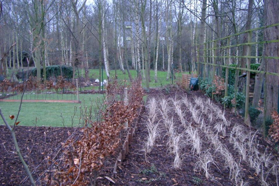 Xtra|vert tuin- en landschapsarchitectuur