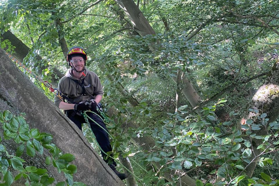 Grote beuk - klimmen voor het plezier