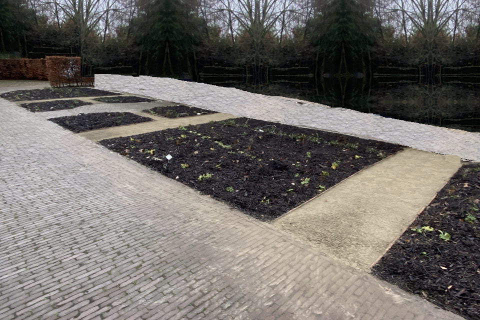 Aanleg beplanting