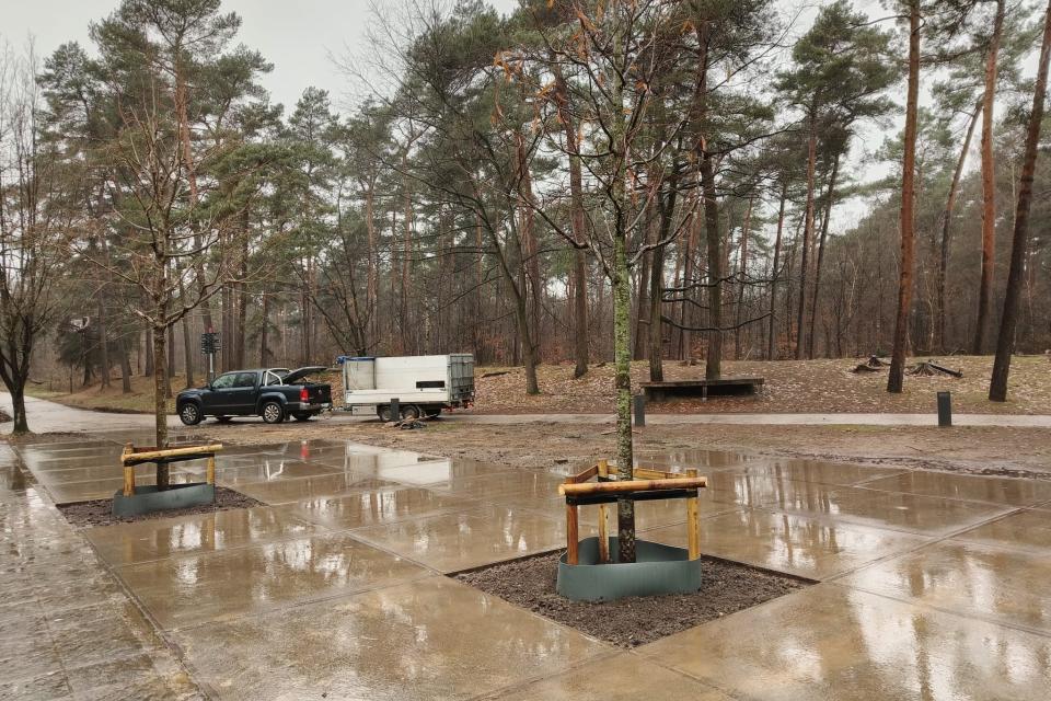 Aanplanten van enkele bomen van een redelijk formaat