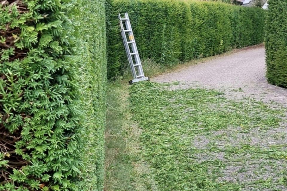 Yassins%20Gardening_Realisaties%20foto%2012.jpg