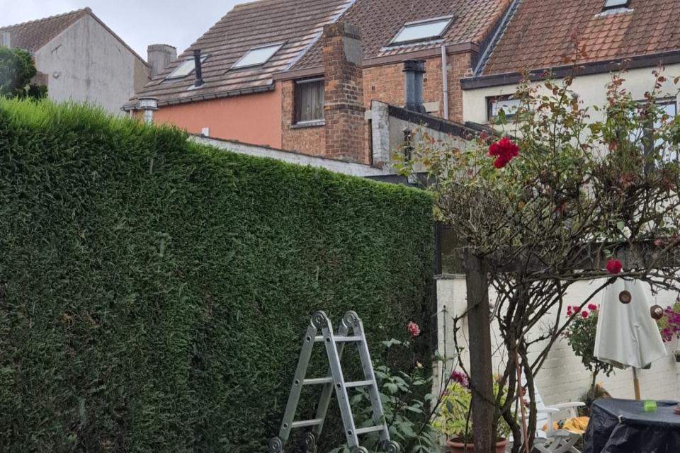 Yassins%20Gardening_Realisaties%20foto%204.jpg