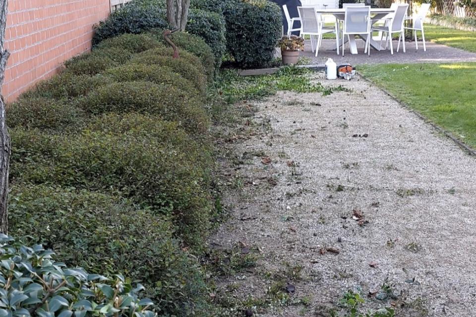 Yassins%20Gardening_Realisaties%20foto%207.jpg