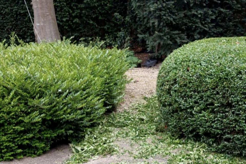 Yassins%20Gardening_Realisaties%20foto%209.jpg