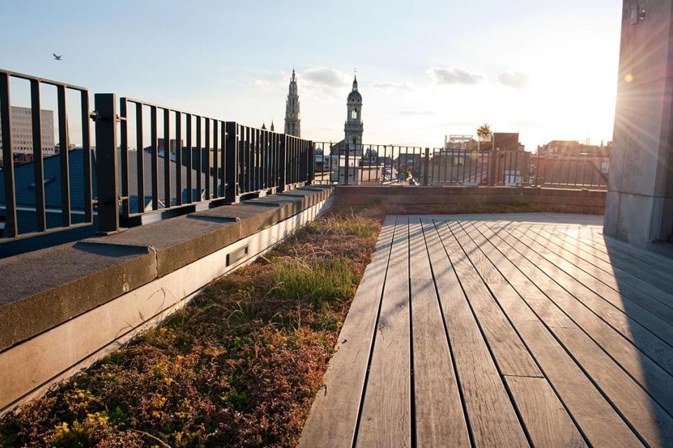 Natuurdak in combinatie met houten terras