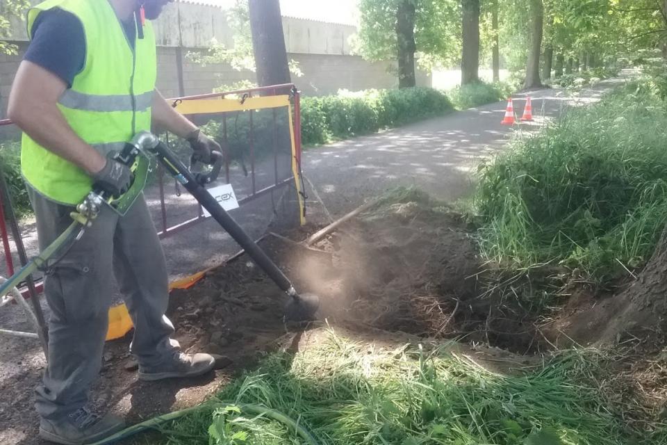 Wortelonderzoek en opstellen Bomen effecten analyse