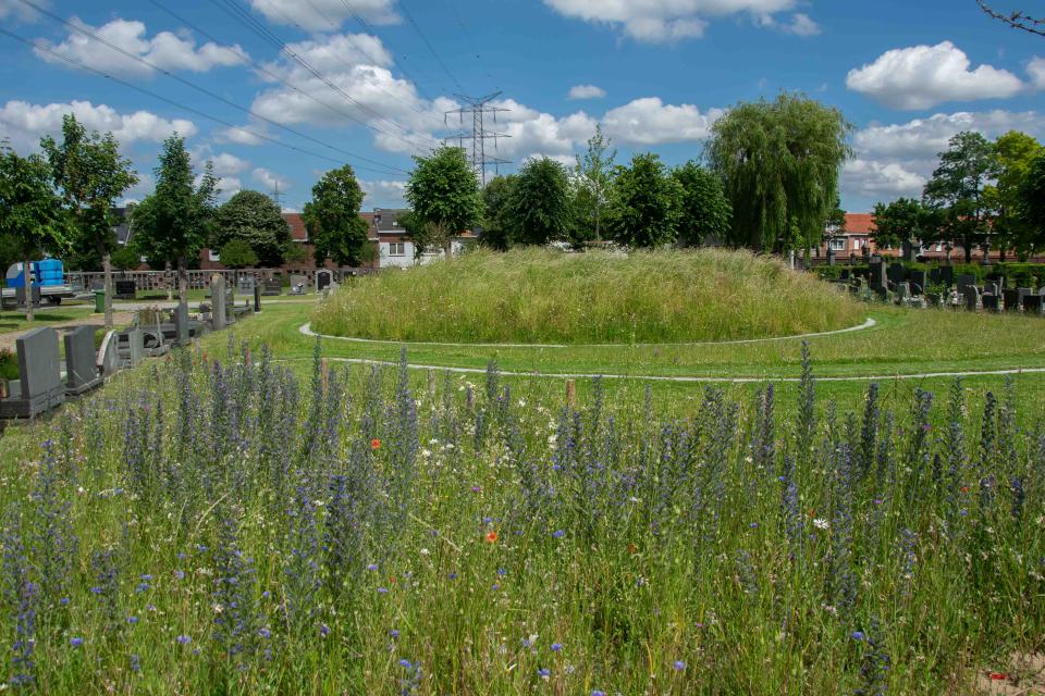 Ecologische begraafplaats met parkkarakter