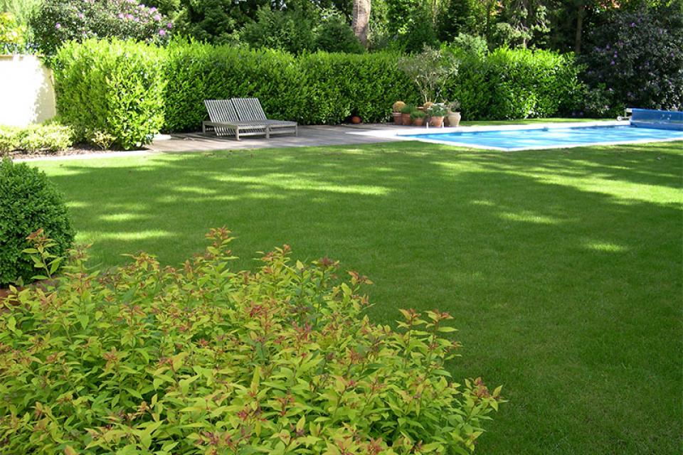 dscn0316.jpg