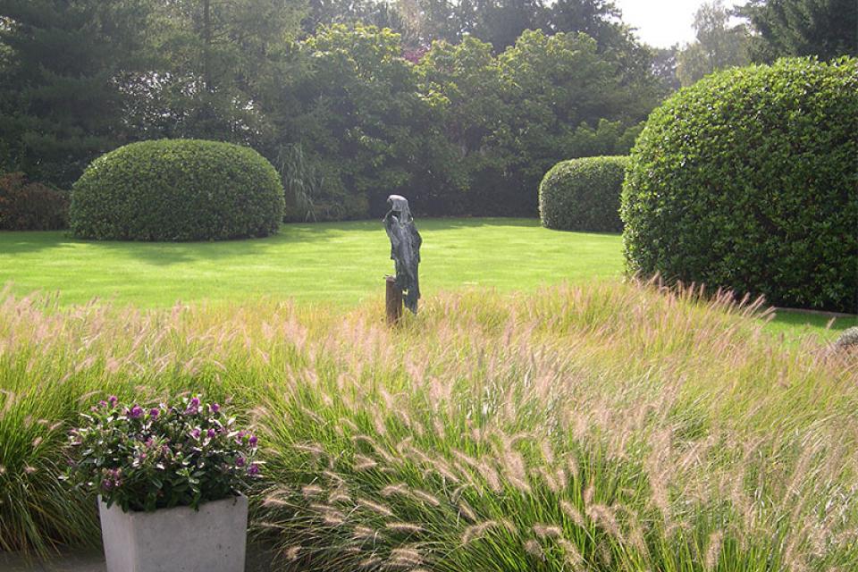 dscn2299.jpg