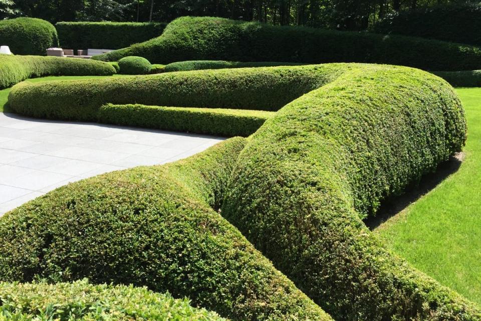 moderne tuin
