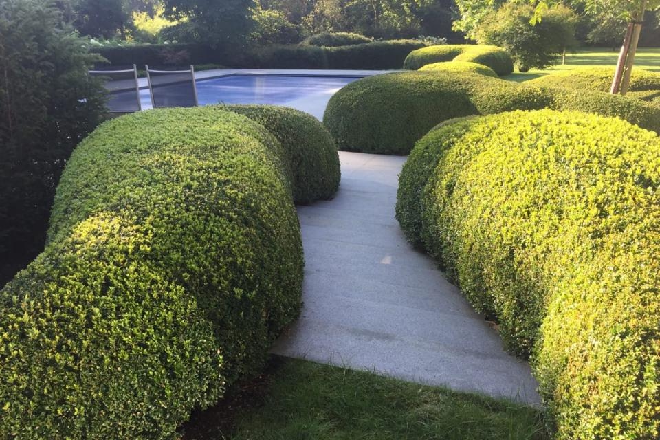 hedendaagse tuin