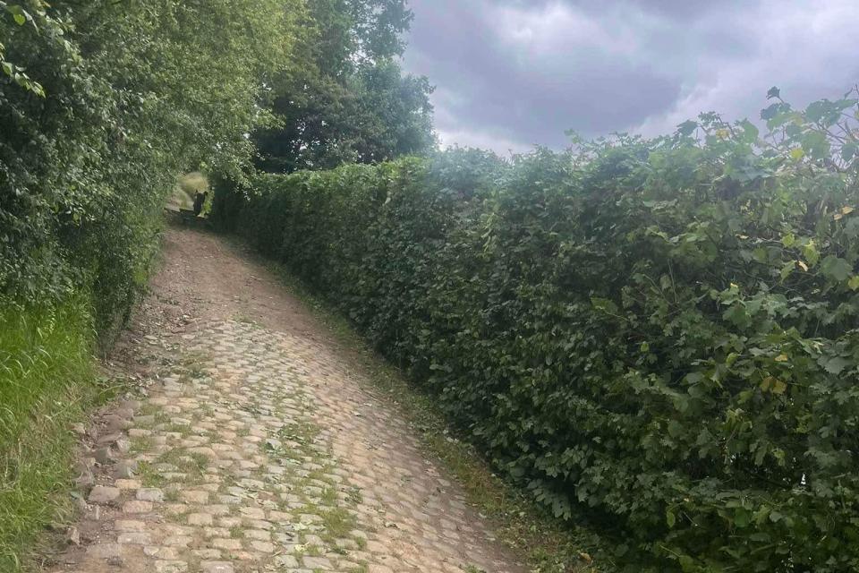 foto%20tuin.jpg
