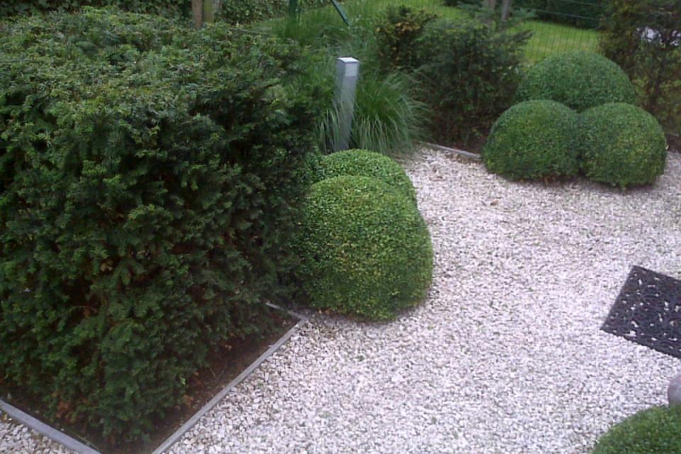 foto_010.jpg